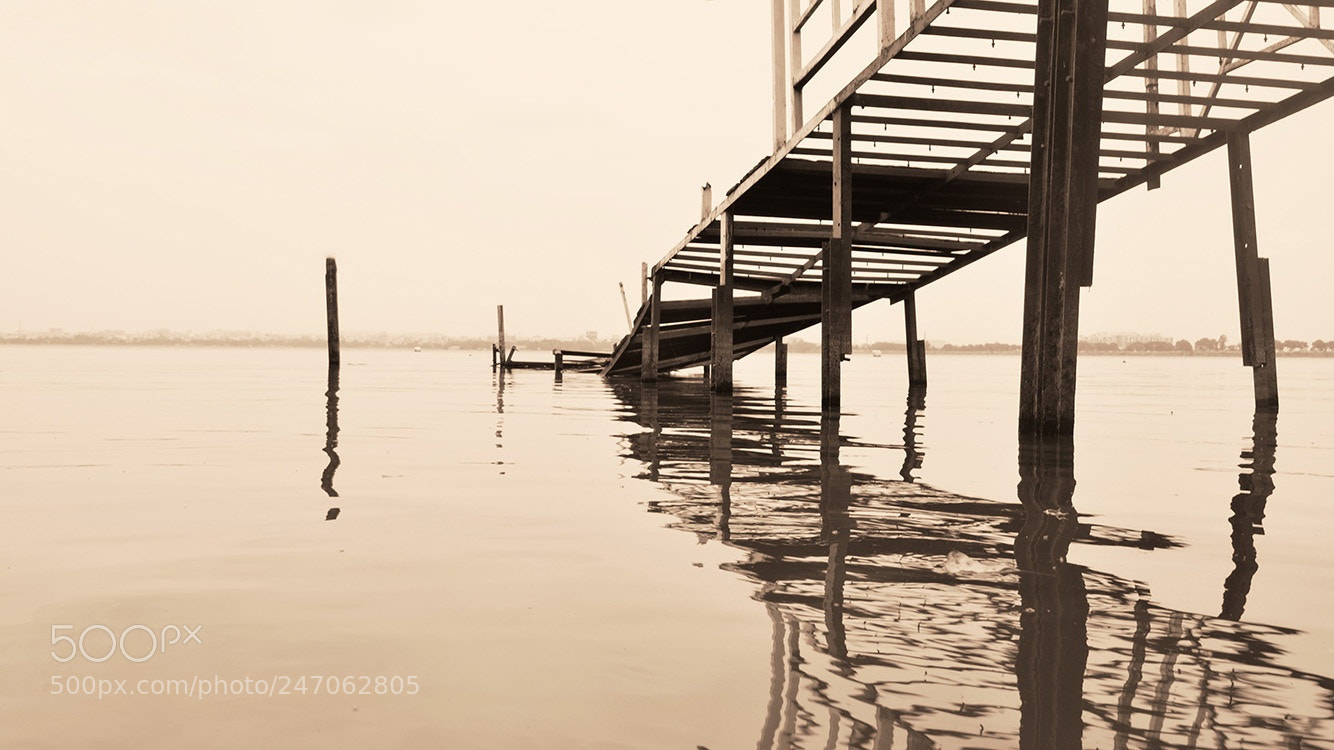 Nikon D5100 sample photo. The bridge photography