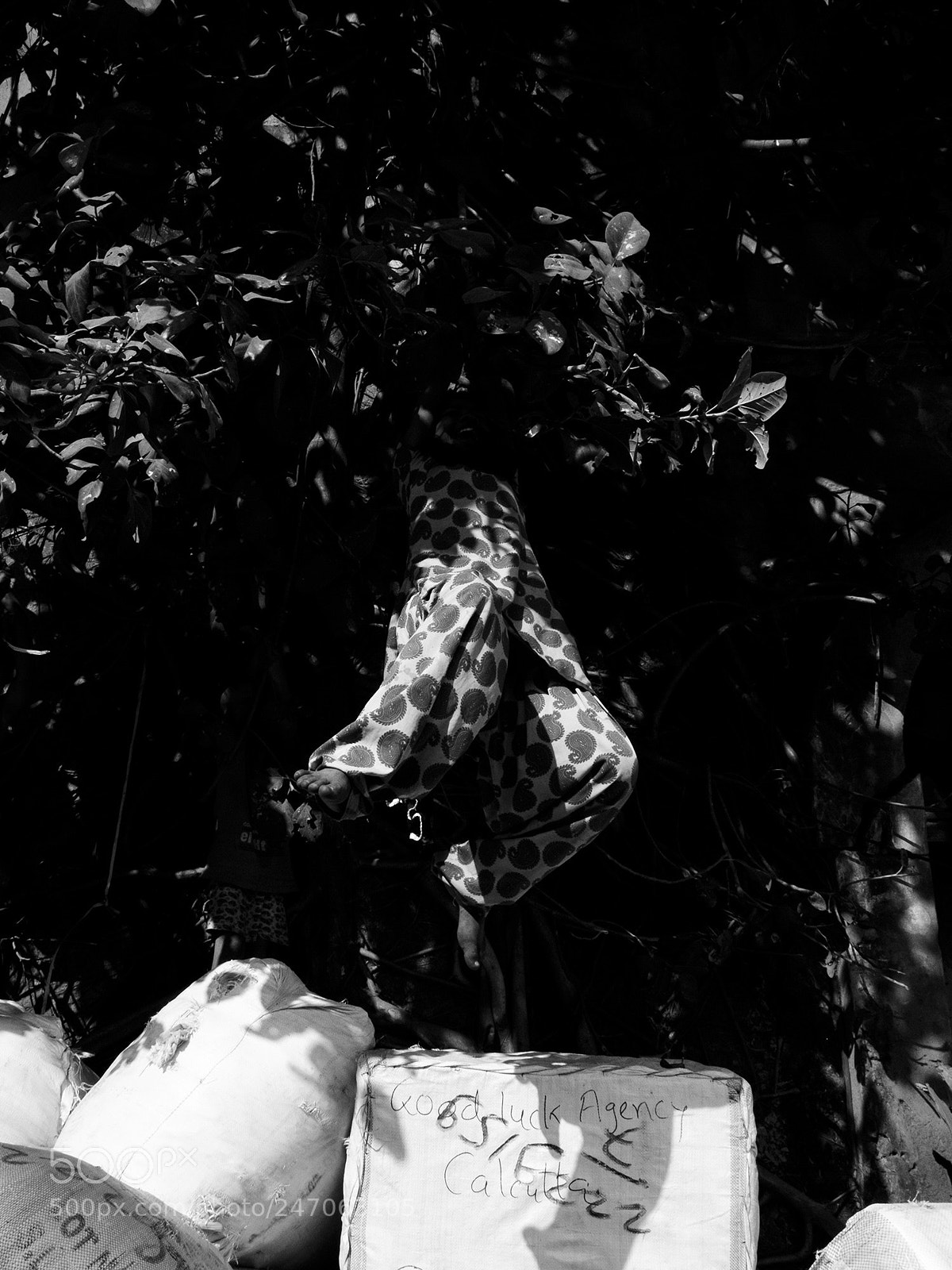 Fujifilm X-T2 sample photo. Spotted photography