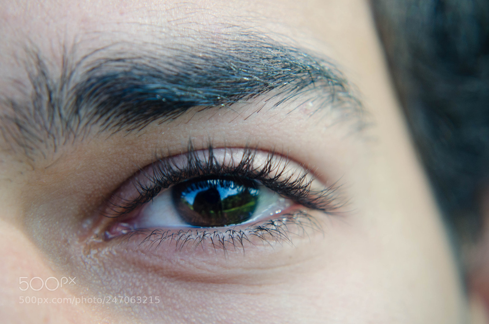 Nikon D5100 sample photo. Eyes one photography