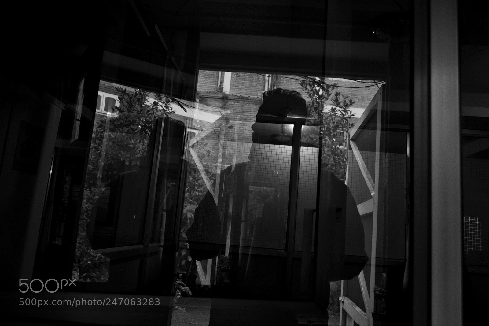 Nikon D3100 sample photo. Reflection photography