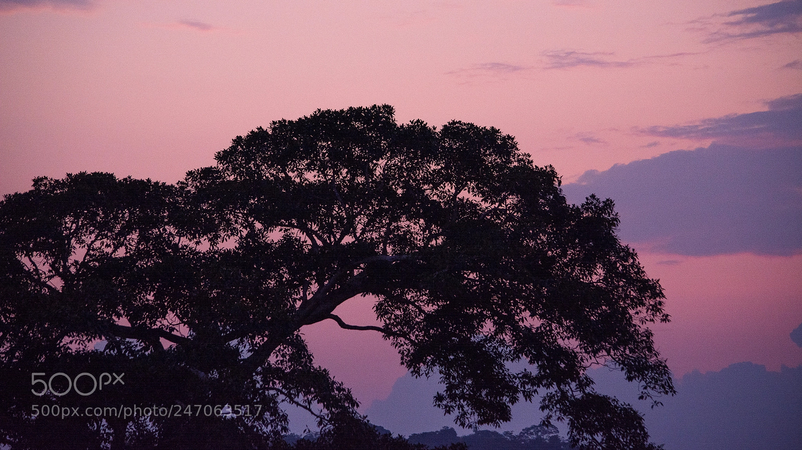Nikon D7100 sample photo. Sunset photography