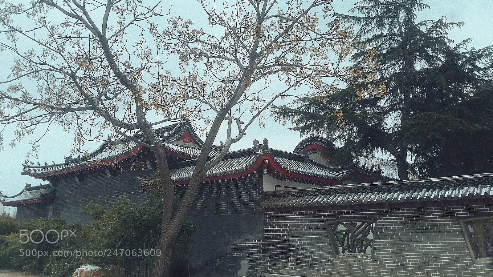 Samsung Galaxy S5 sample photo. The wall of the photography