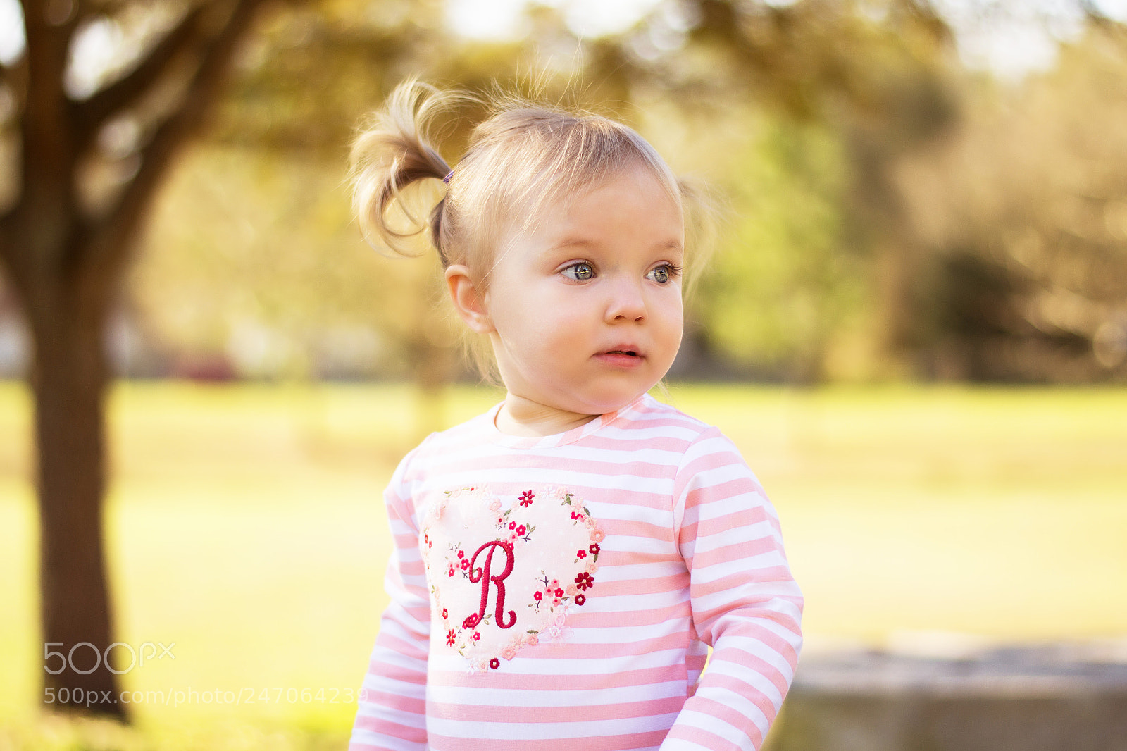 Nikon D3100 sample photo. Valentine's photography