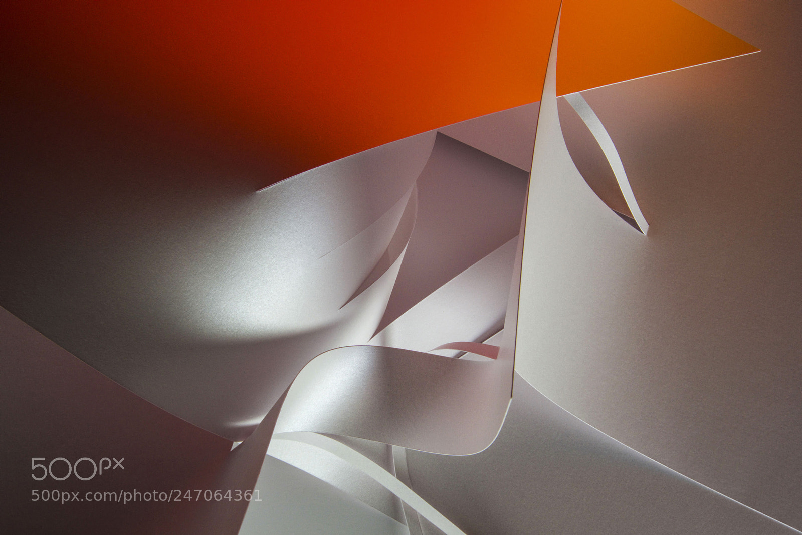Nikon D810 sample photo. The color of a photography