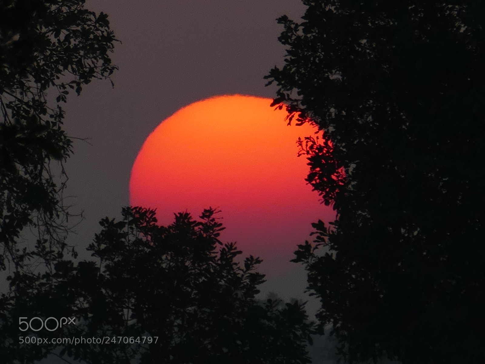 Panasonic Lumix DMC-FZ1000 sample photo. Sunset photography