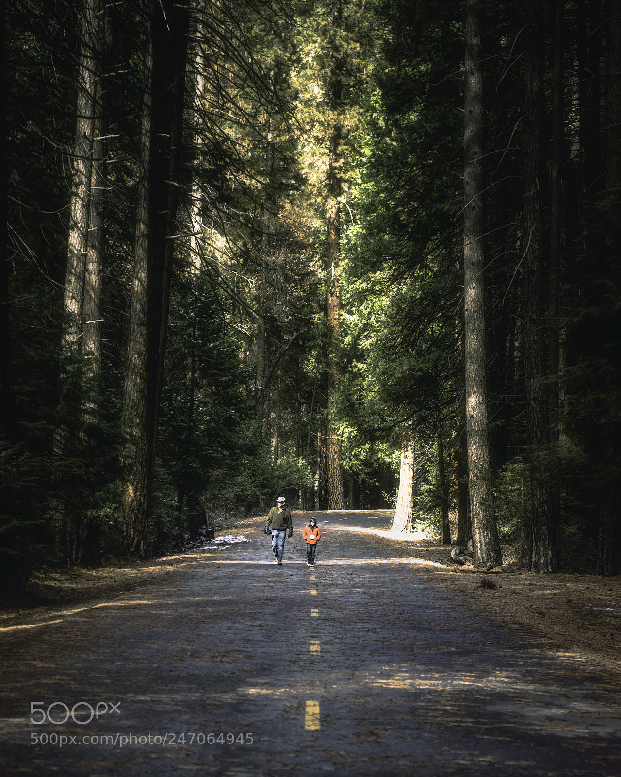 Nikon D810 sample photo. Yosemite photography