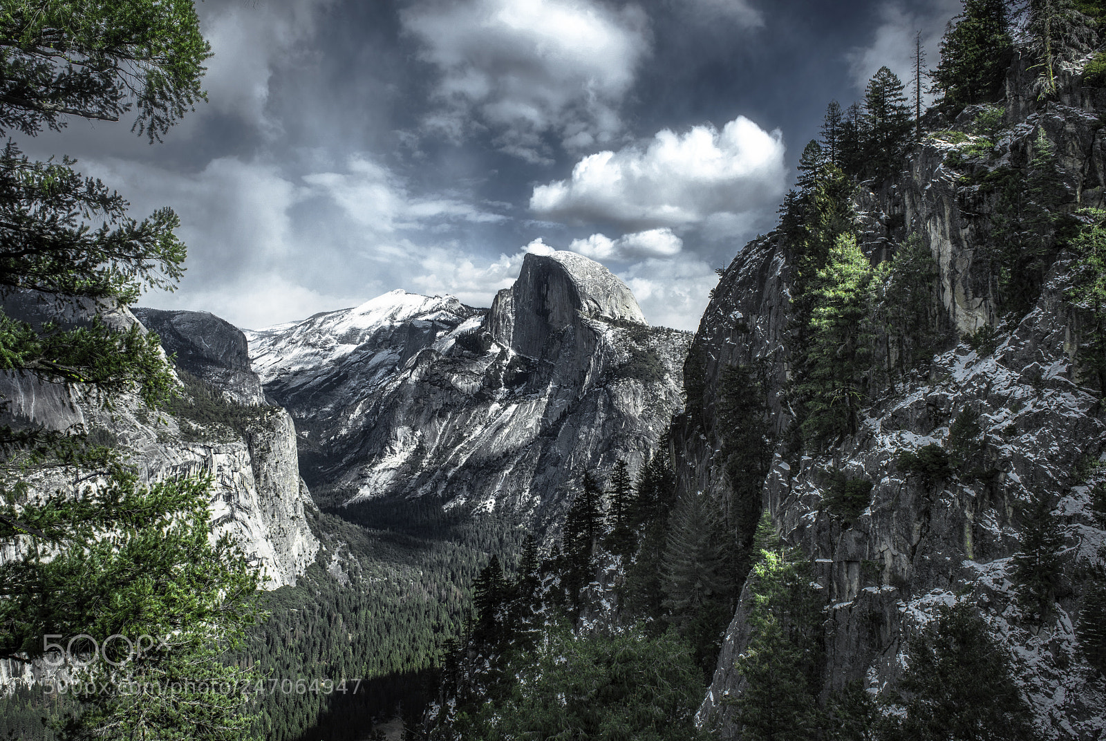 Nikon D810 sample photo. Yosemite photography