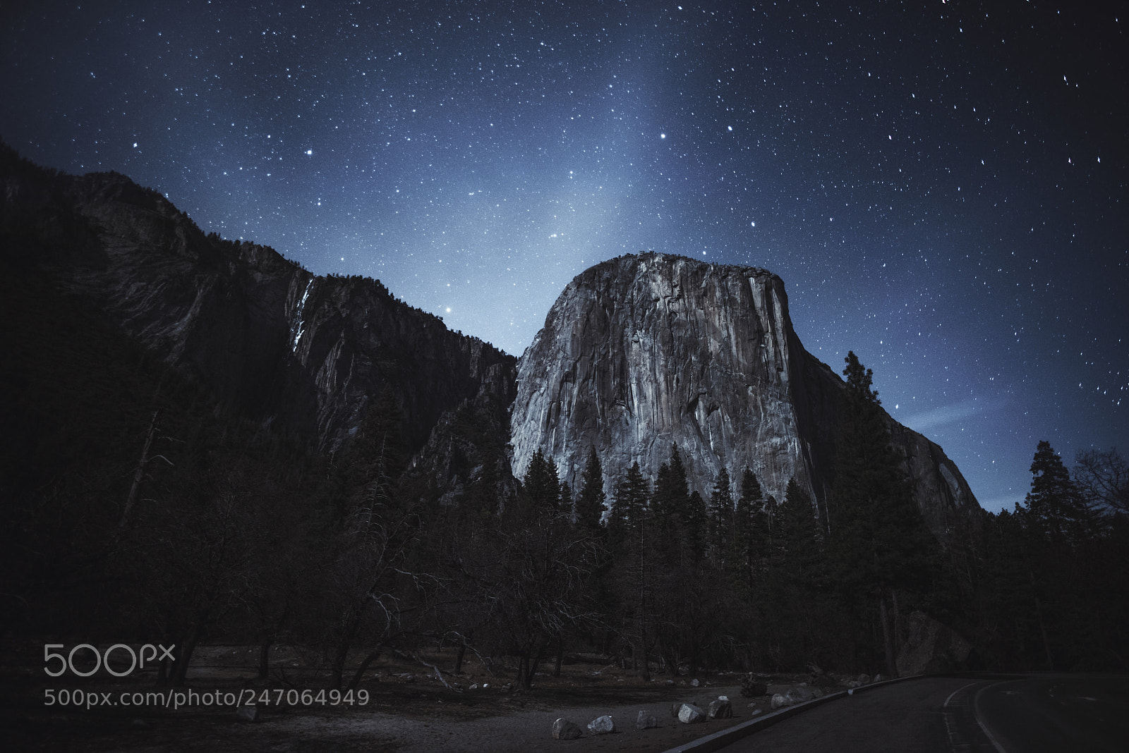 Nikon D810 sample photo. Yosemite photography