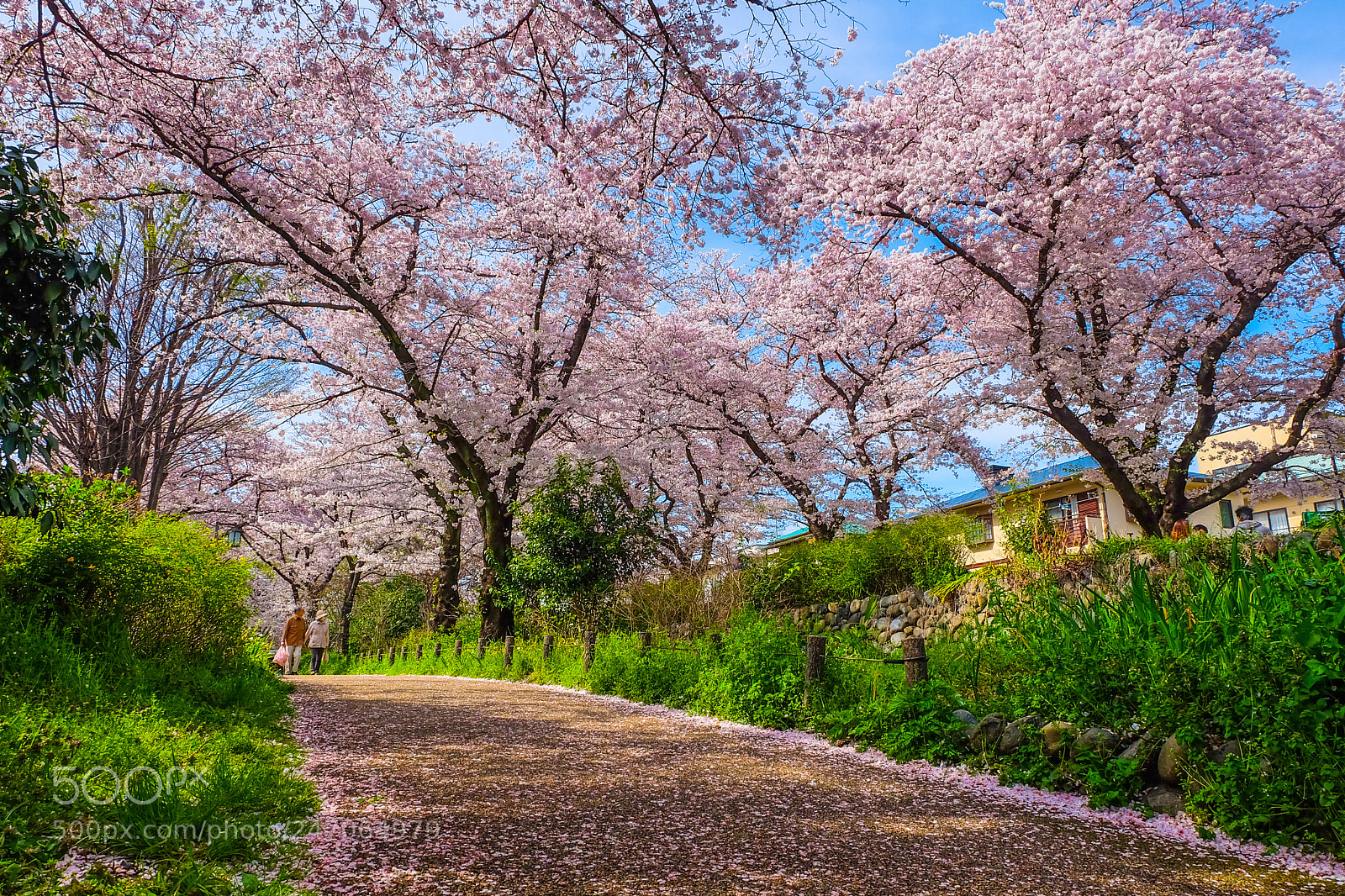 Fujifilm X-A2 sample photo. Editorial photography