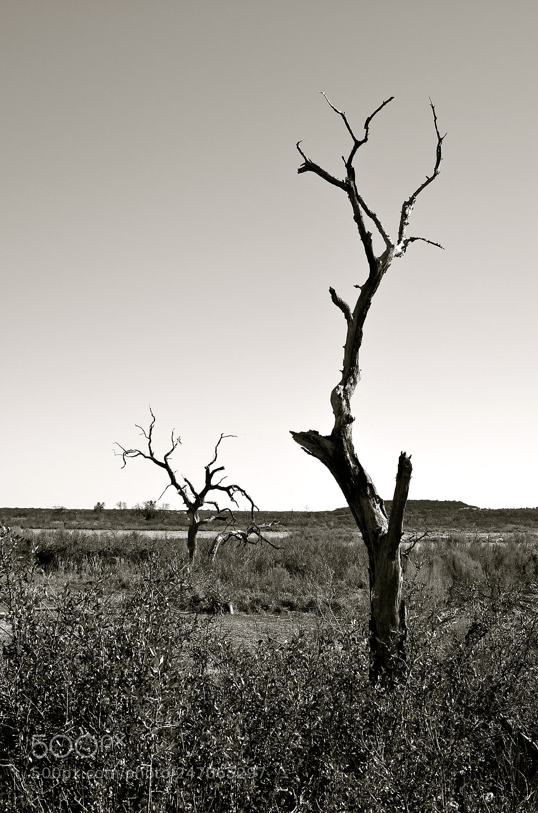 Nikon D5100 sample photo. Tender goodbyes photography