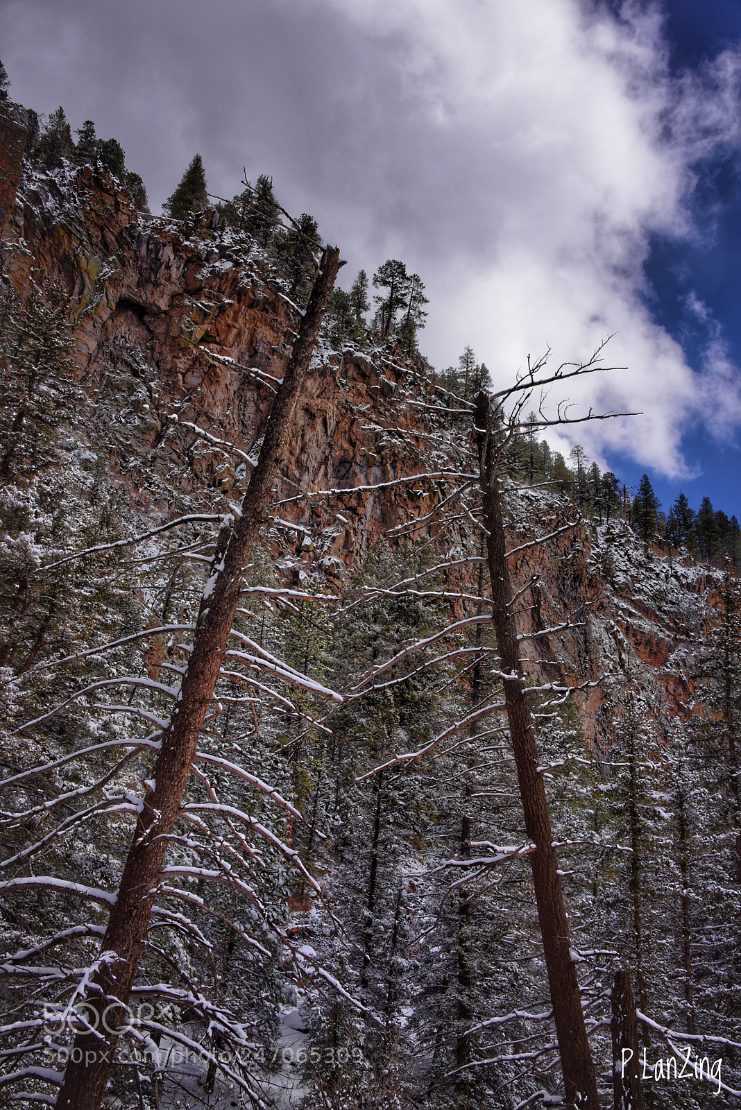 Nikon D810 sample photo. Winter cliffs, new mexico photography
