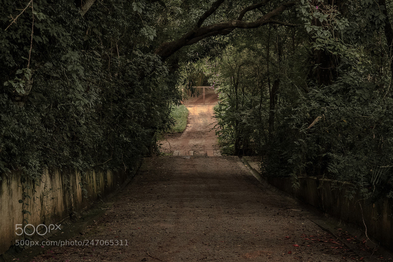 Canon EOS 700D (EOS Rebel T5i / EOS Kiss X7i) sample photo. Country road photography
