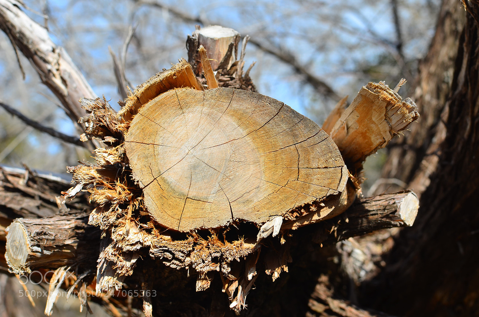 Nikon D5100 sample photo. Fond memories photography