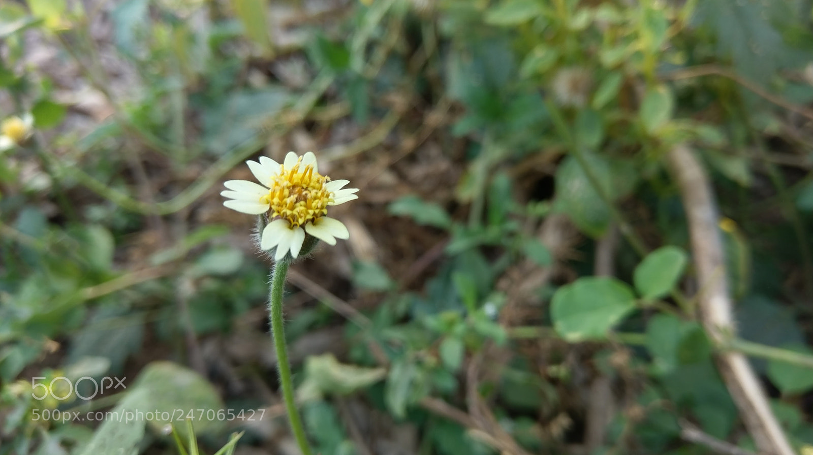 HTC 10 sample photo. Untitled photography