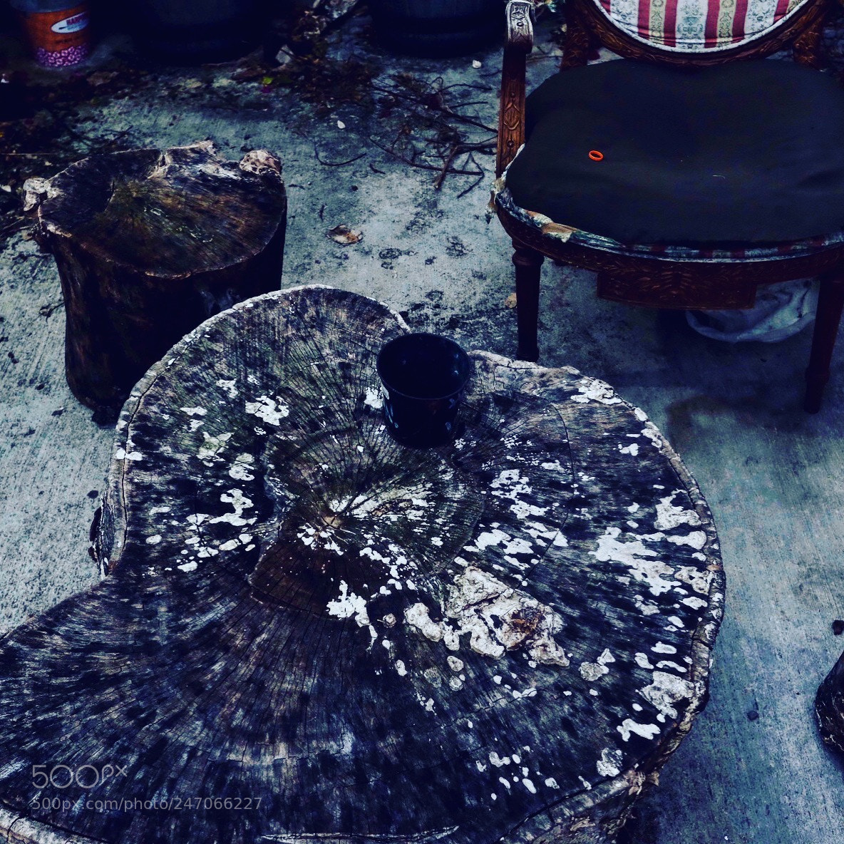 Fujifilm X-E2S sample photo. Your meager throne photography
