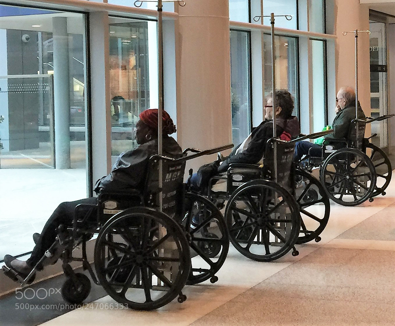 Apple iPhone 6 Plus sample photo. Waiting for their ride photography