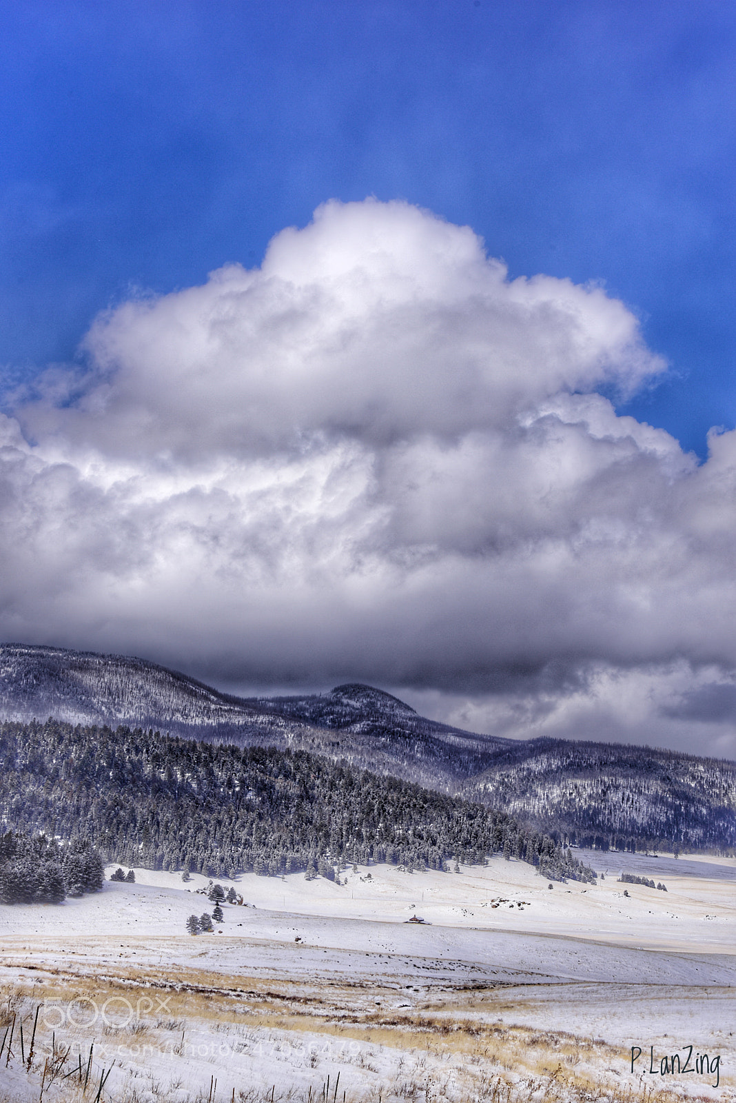 Nikon D810 sample photo. Valles caldera, new mexico photography