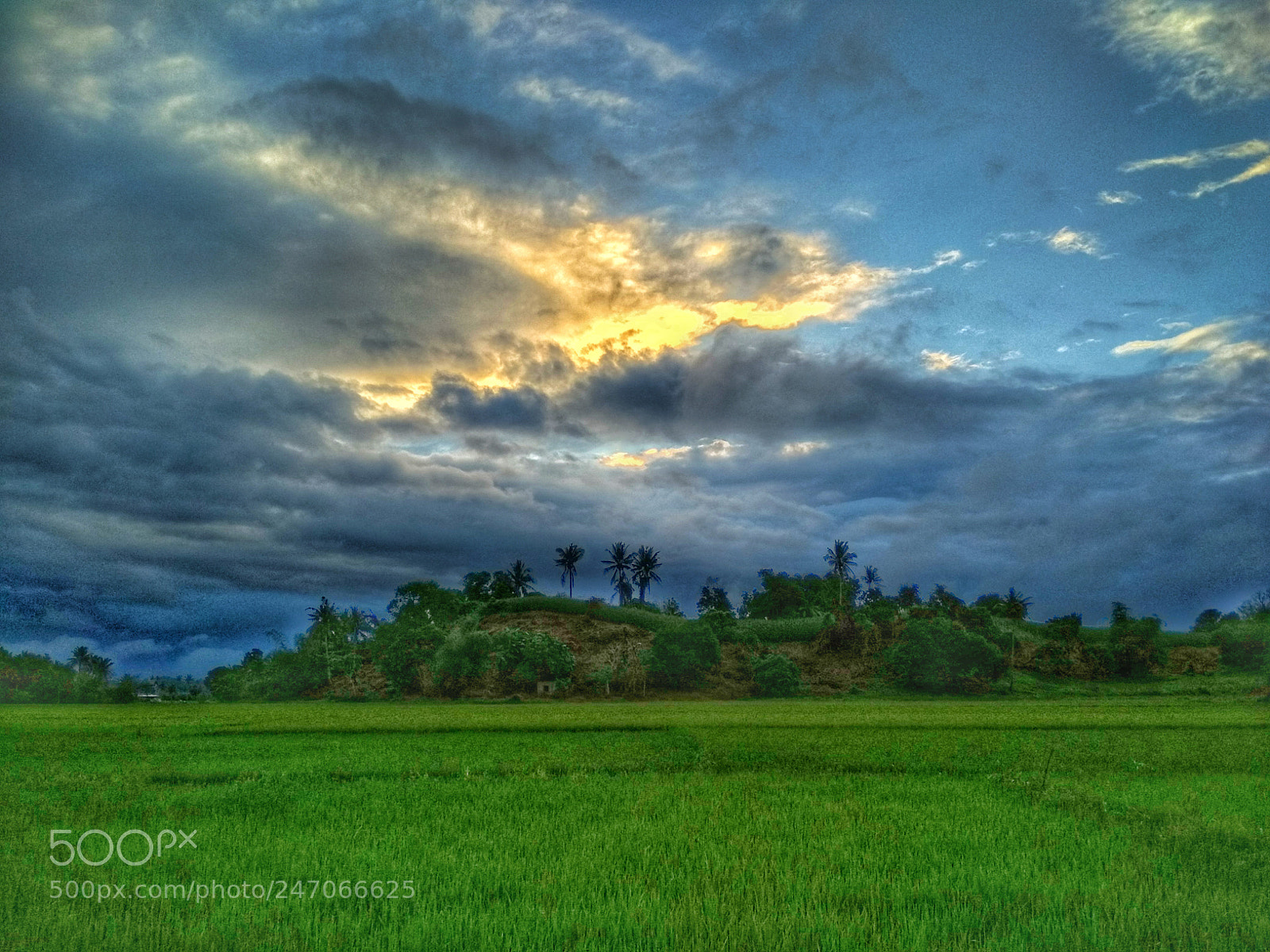 Xiaomi Redmi 4X sample photo. Cagayan meadows photography