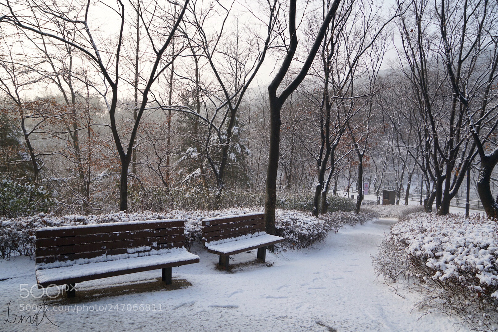 Sony a7R II sample photo. Benches for someone to photography