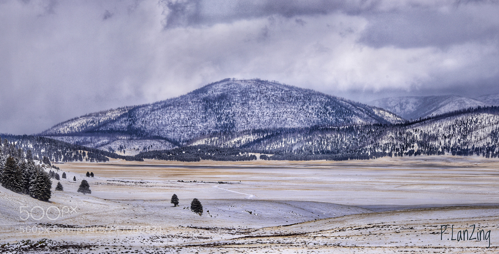 Nikon D810 sample photo. Valles caldera, new mexico photography
