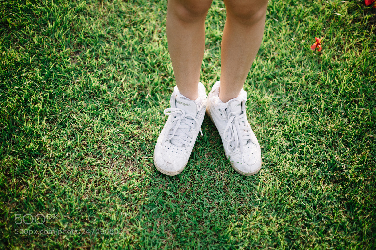 Canon EOS 5D sample photo. The beauty girl and photography