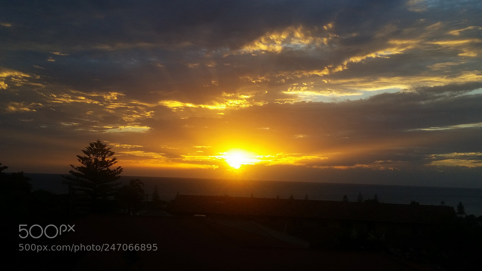 Samsung Galaxy S5 sample photo. Untitled photography