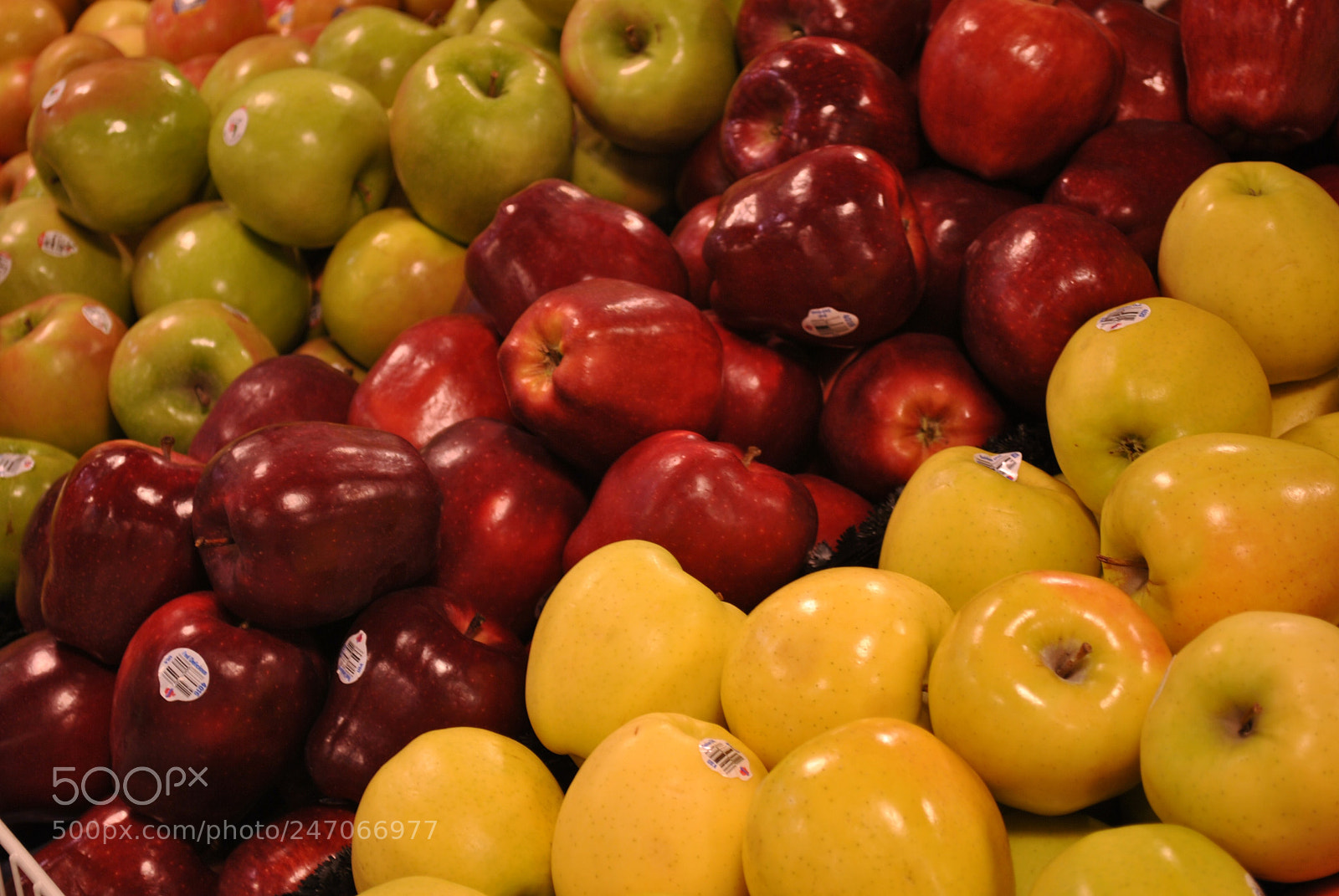 Nikon D3000 sample photo. "variety" photography