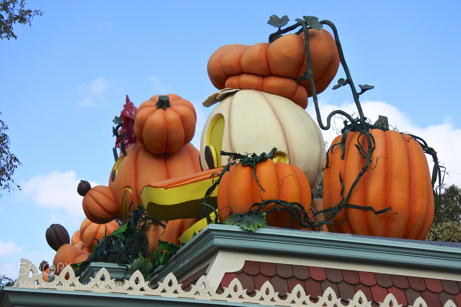 Nikon 1 J5 sample photo. Halloween donald photography