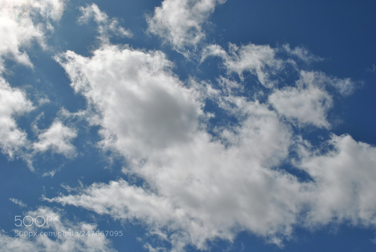 Nikon D3000 sample photo. "clarity" photography
