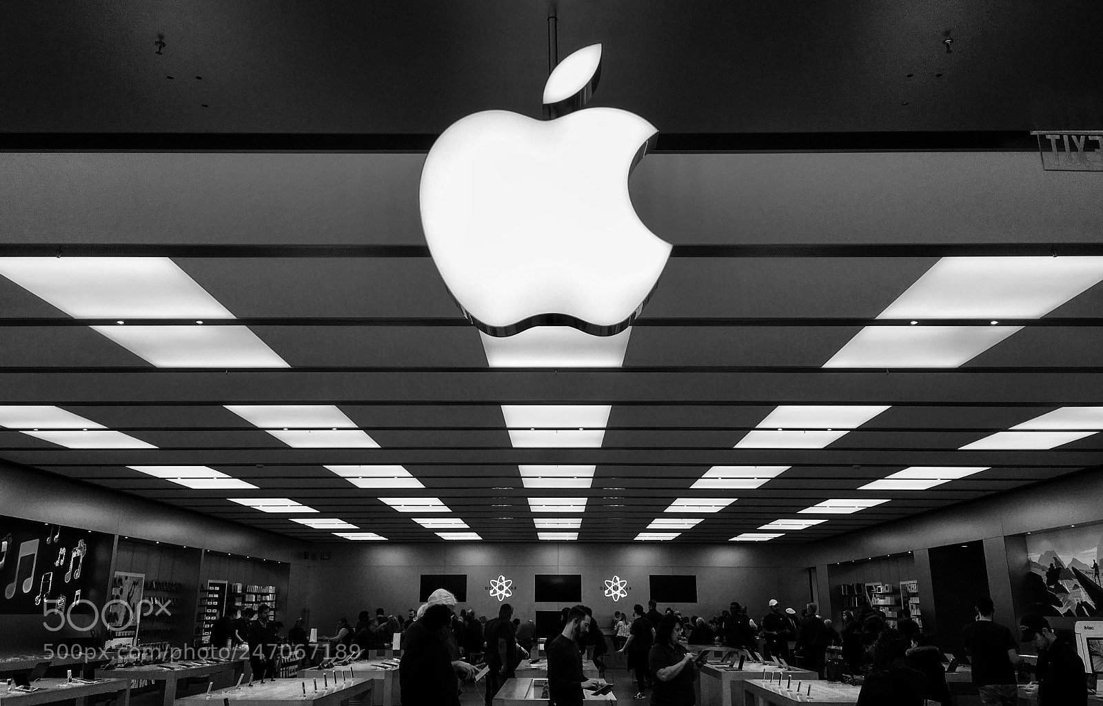 Apple iPhone 6s sample photo. Invited to sit in photography