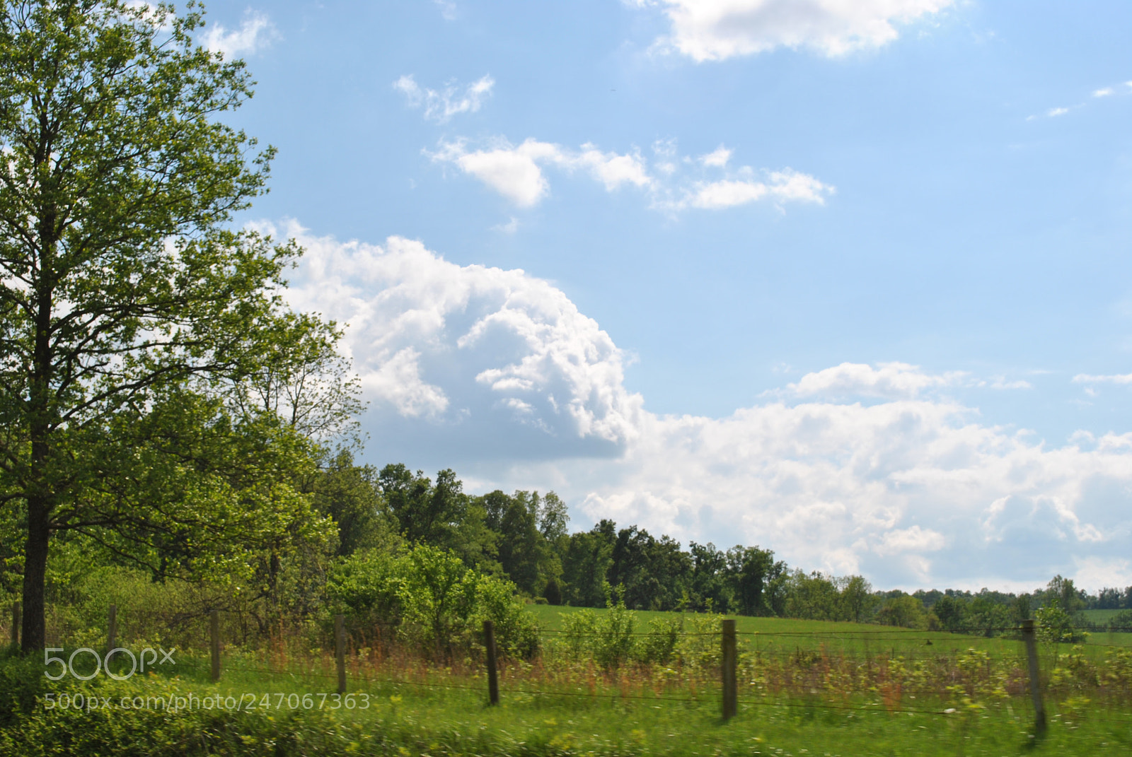Nikon D3000 sample photo. Stop and smell the photography