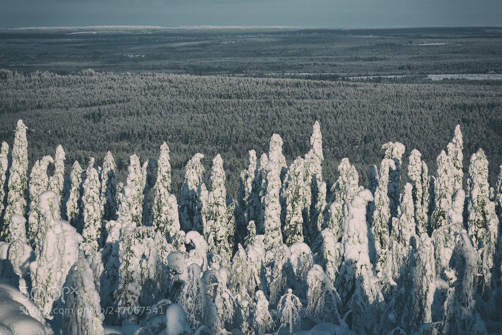 Nikon D810 sample photo. Ukko-halla, finland photography