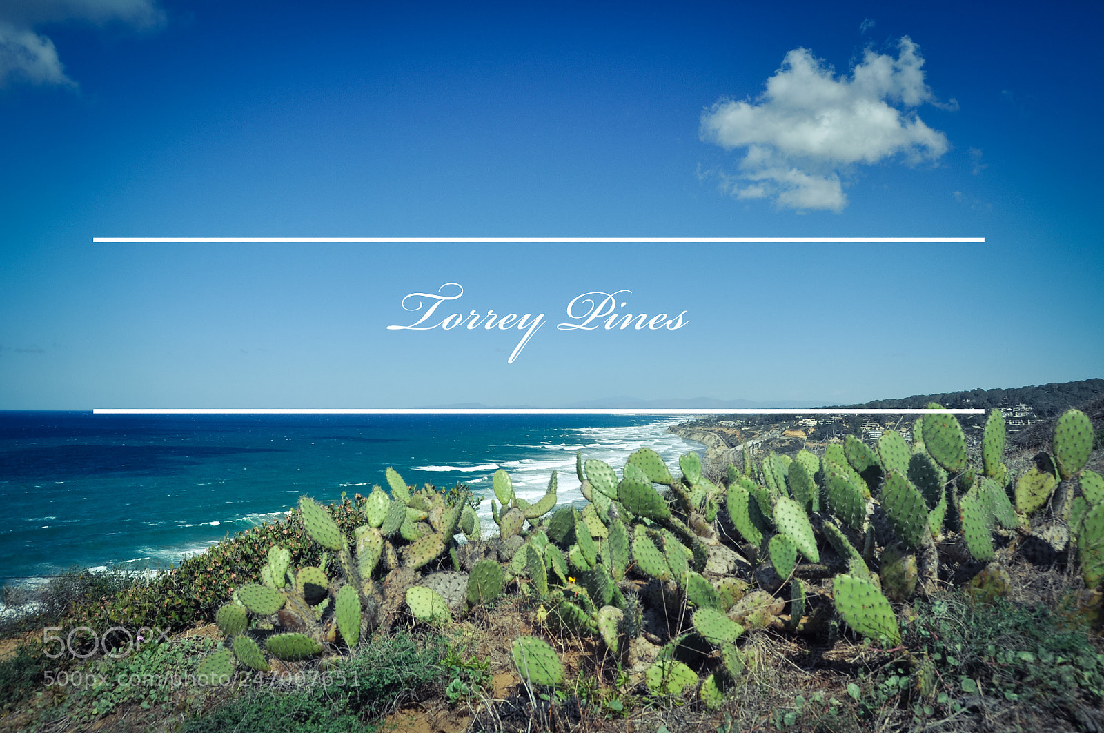 Nikon D90 sample photo. Torrey pines photography