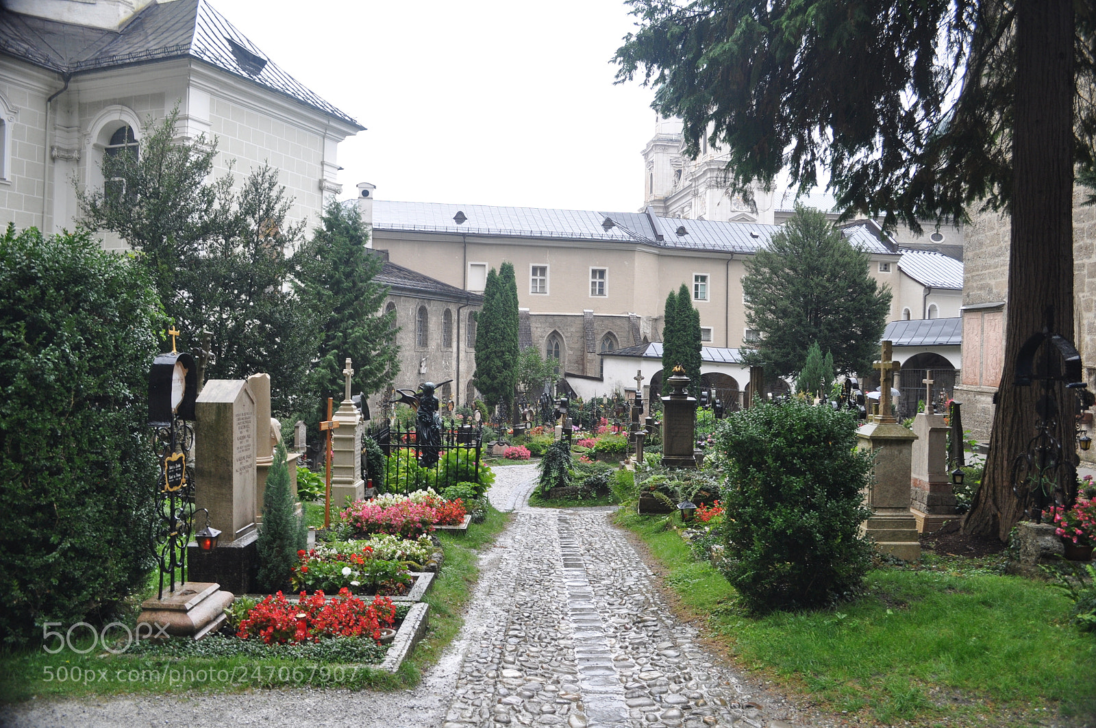 Nikon D5000 sample photo. Petersfriedhof 02 photography