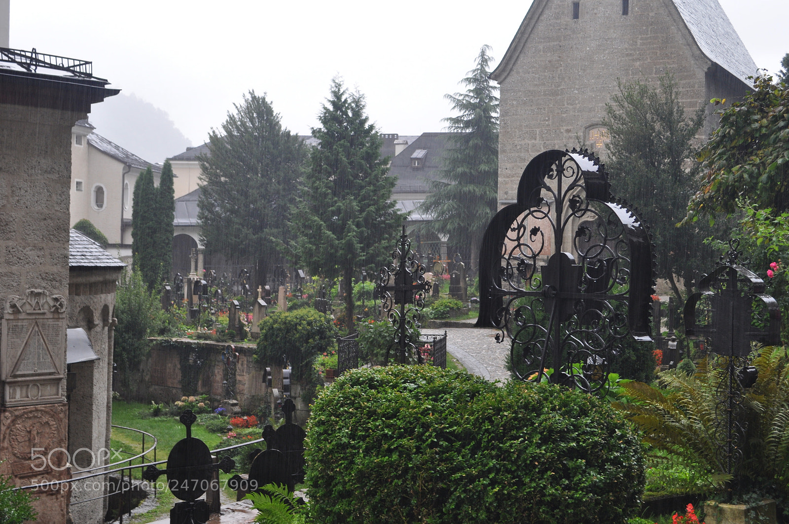 Nikon D5000 sample photo. Petersfriedhof 01 photography