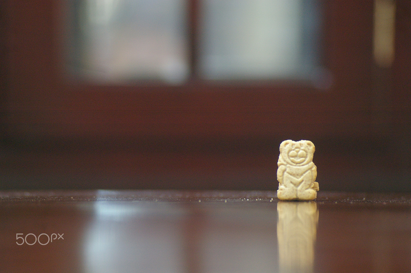 Pentax *ist DL sample photo. Lonely cookie bear photography