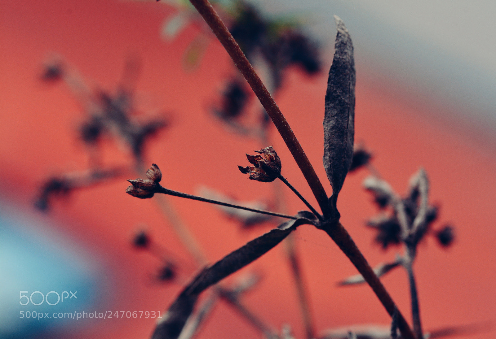 Nikon D7100 sample photo. Untitled photography