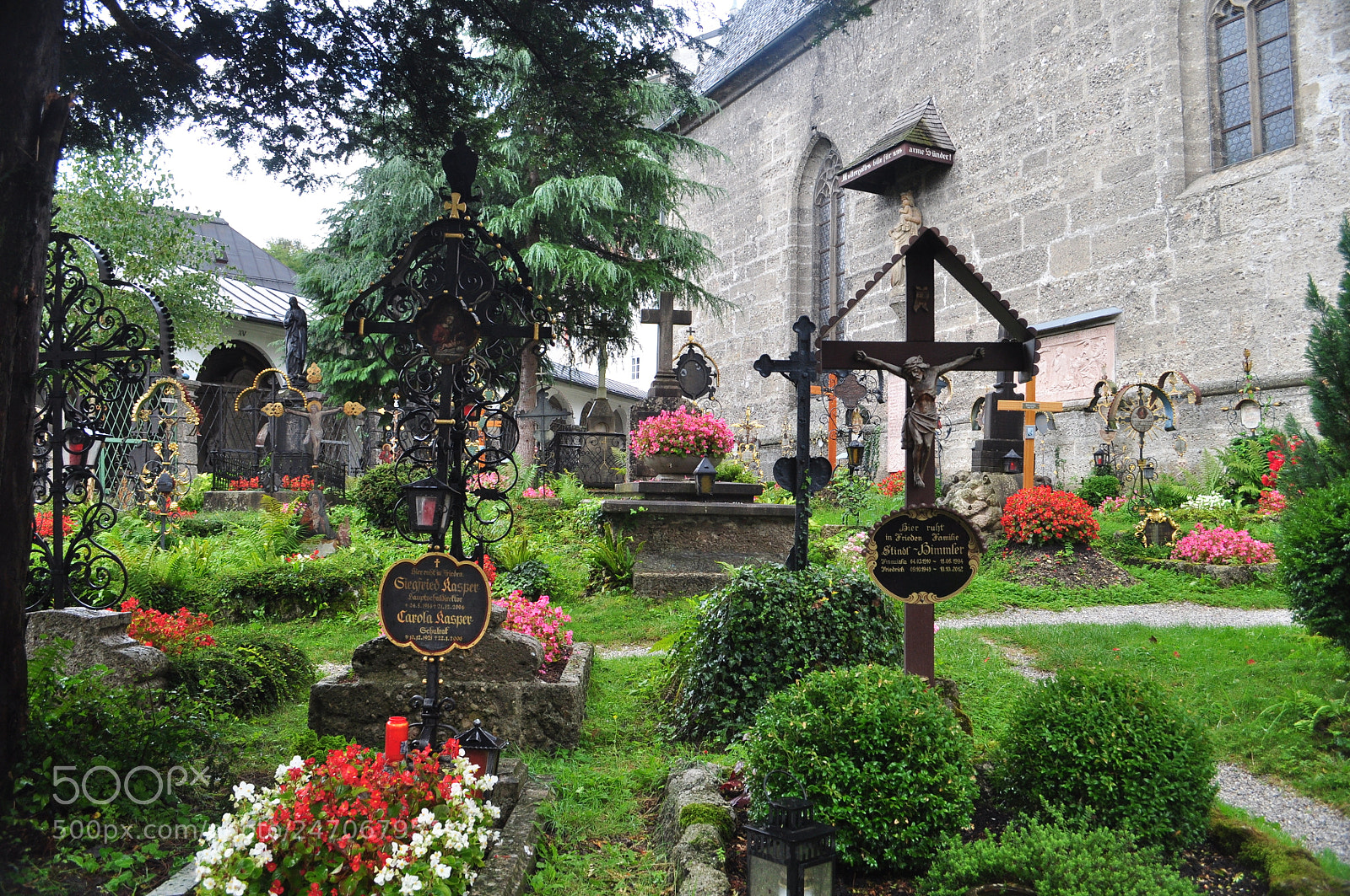 Nikon D5000 sample photo. Petersfriedhof 04 photography