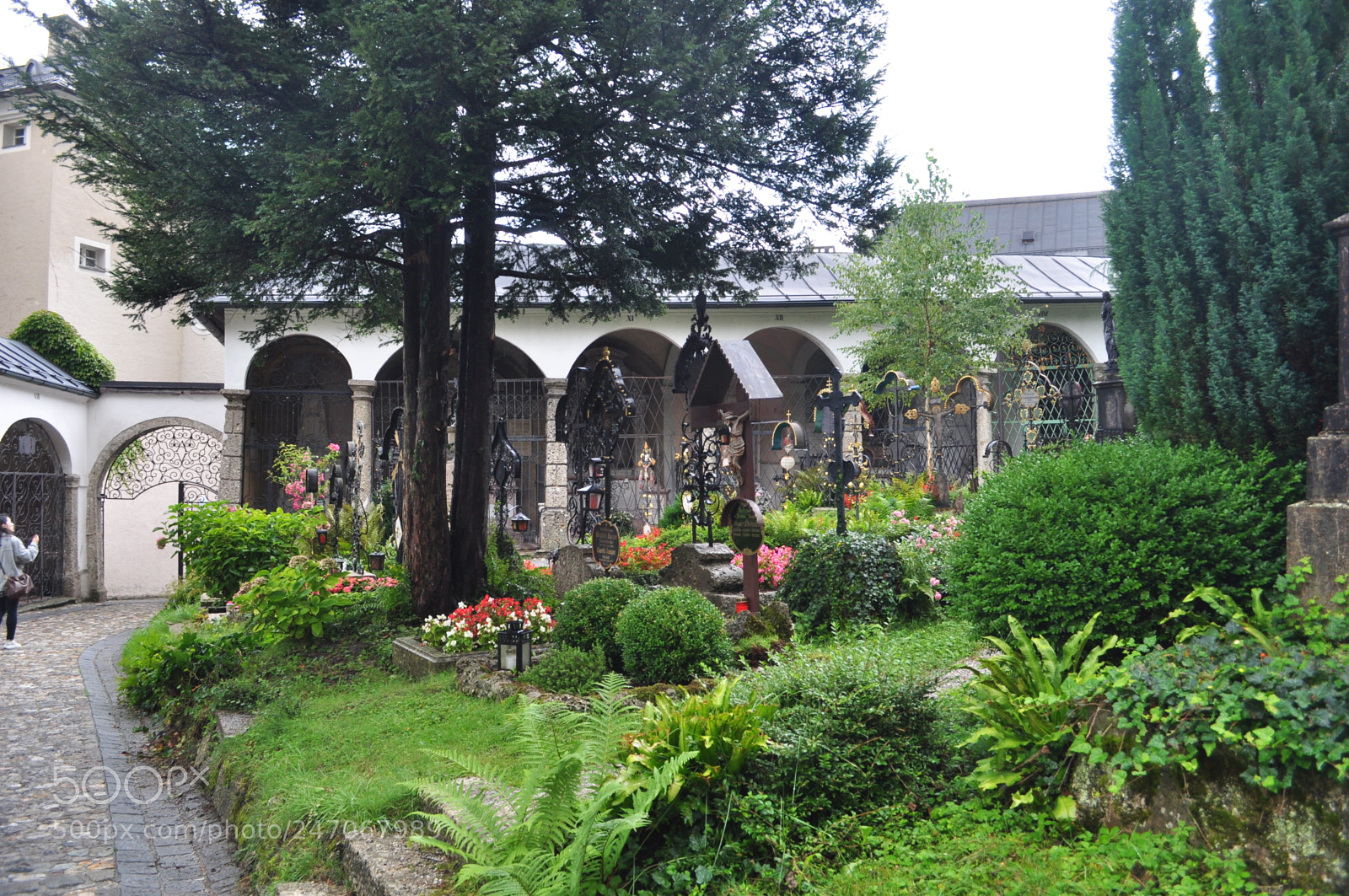 Nikon D5000 sample photo. Petersfriedhof 06 photography