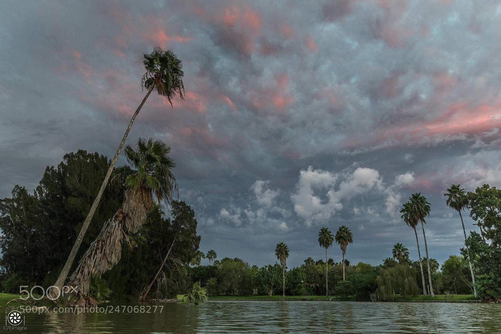 Canon EOS 7D Mark II sample photo. Subtropical paradise photography