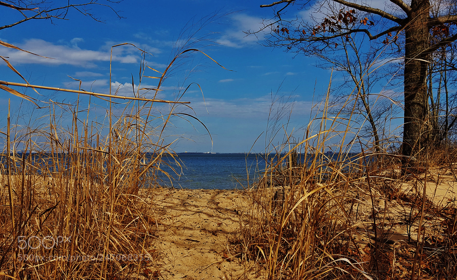 Samsung Galaxy S6 sample photo. Weinberg park beach 2018 photography
