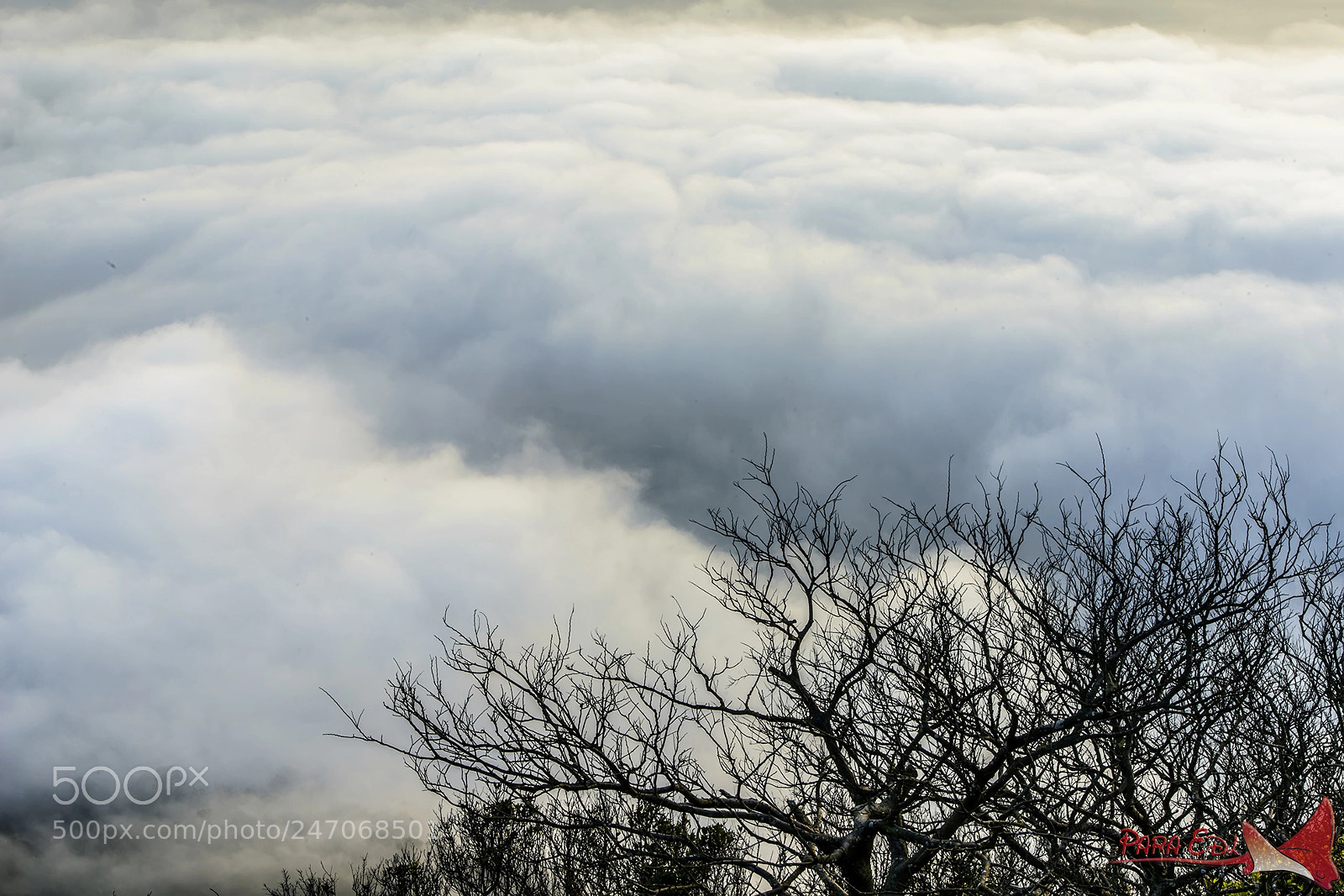 Nikon D800E sample photo. Guan-yin-shan photography