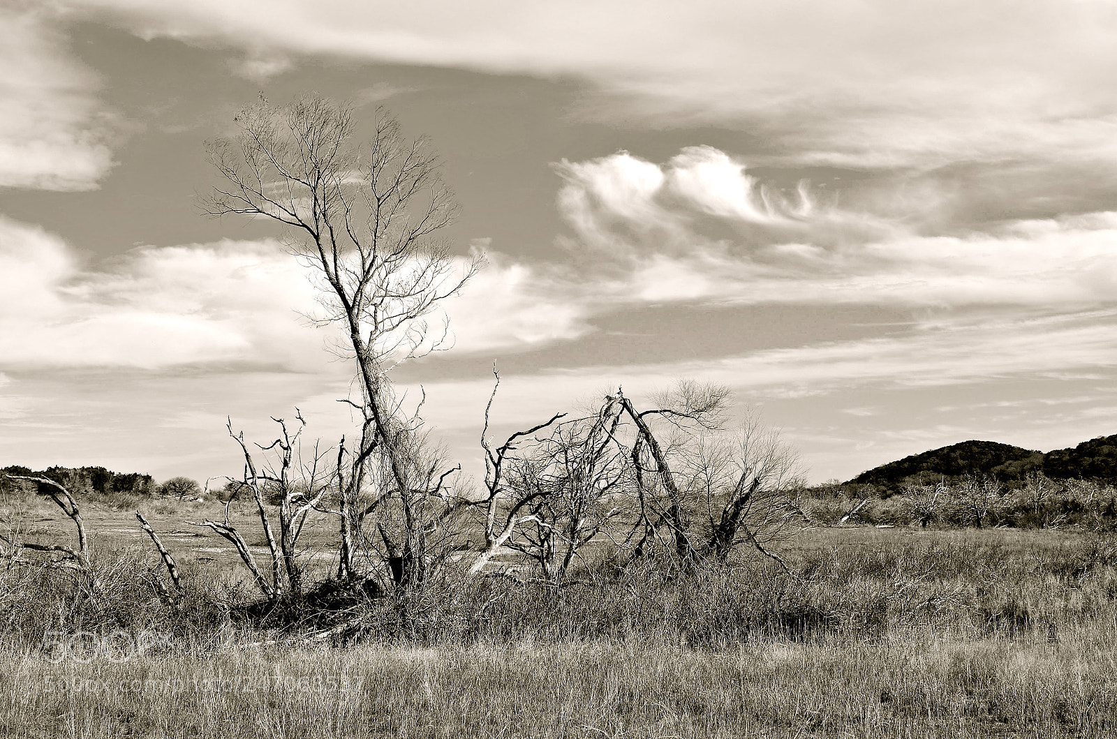Nikon D5100 sample photo. Untitled photography