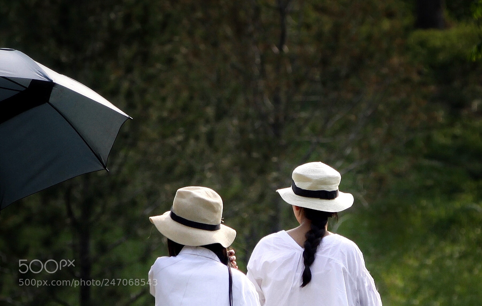 Canon EOS 50D sample photo. 对白 photography