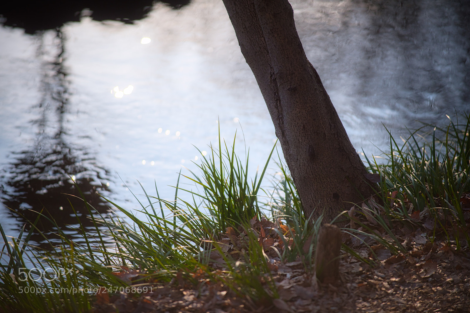 Nikon D810 sample photo. Quiet and calm spot photography