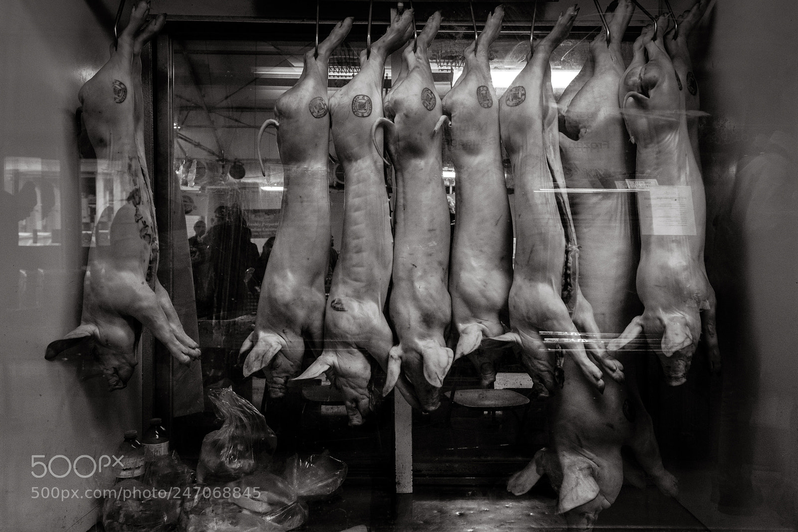Fujifilm X-T20 sample photo. Untitled shoot edit photography