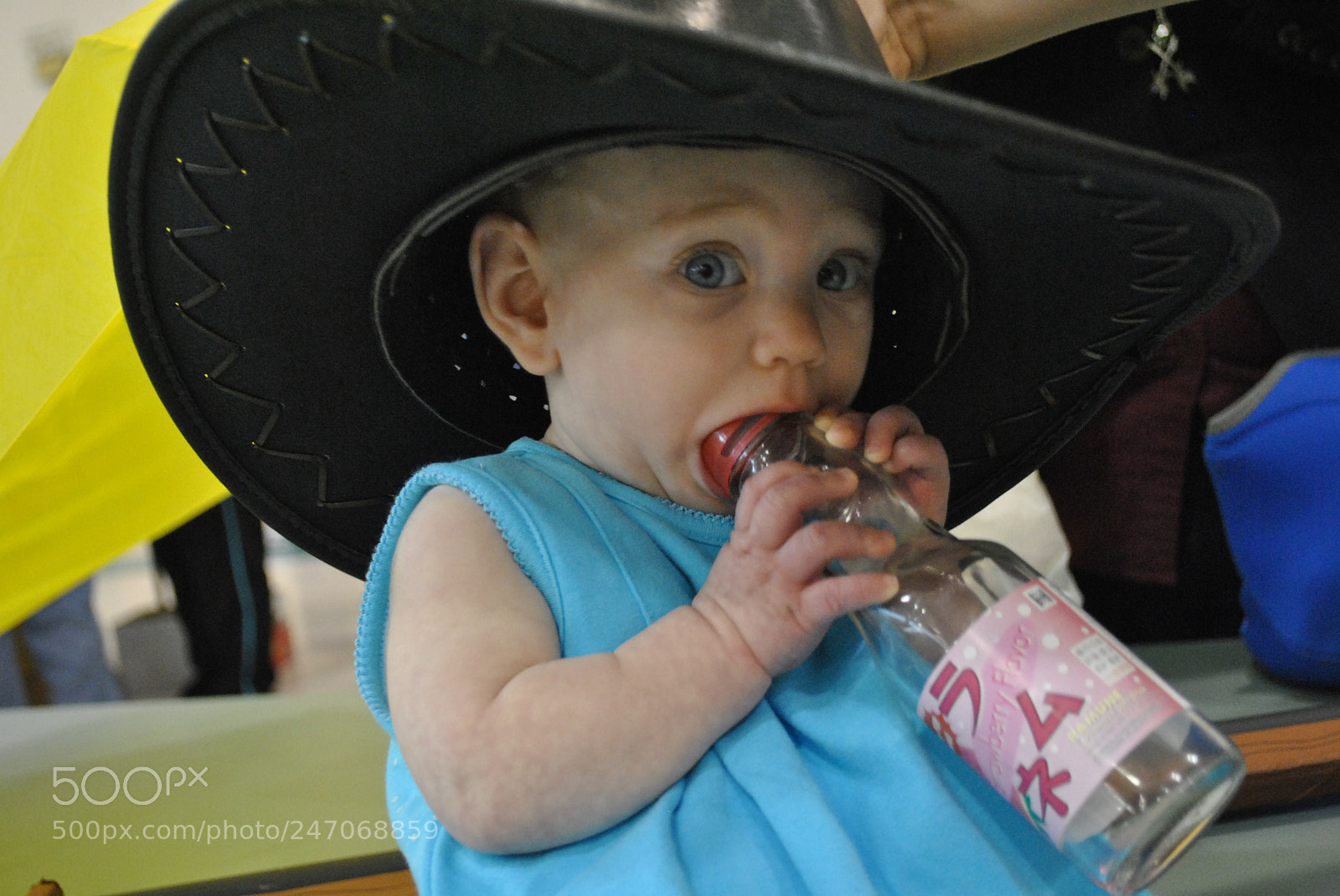 Nikon D3000 sample photo. "nom" photography