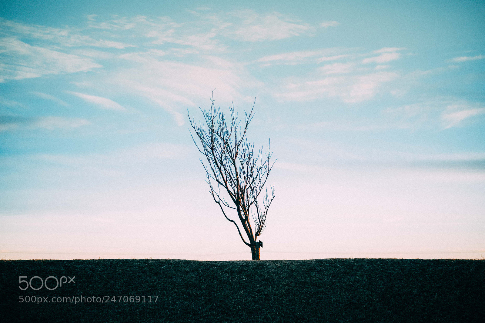 Fujifilm X-Pro2 sample photo. Untitled photography