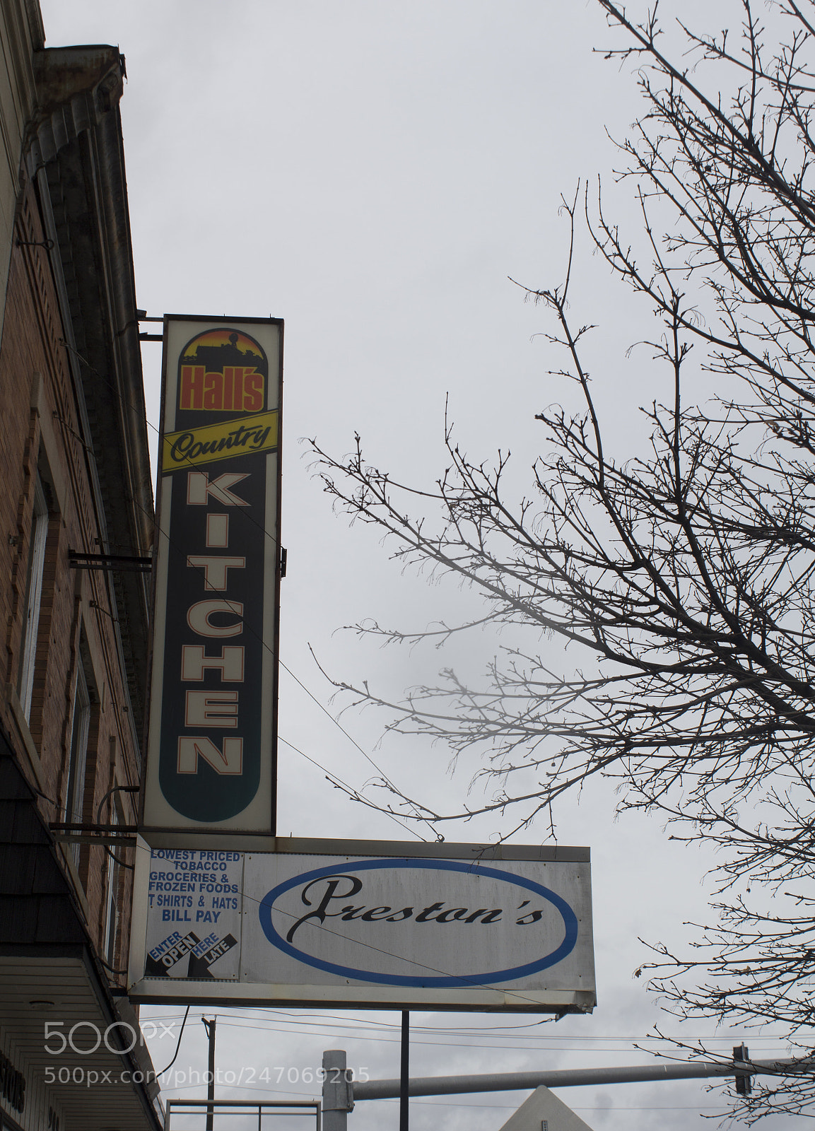 Canon EOS 1200D (EOS Rebel T5 / EOS Kiss X70 / EOS Hi) sample photo. Branches and businesses. photography