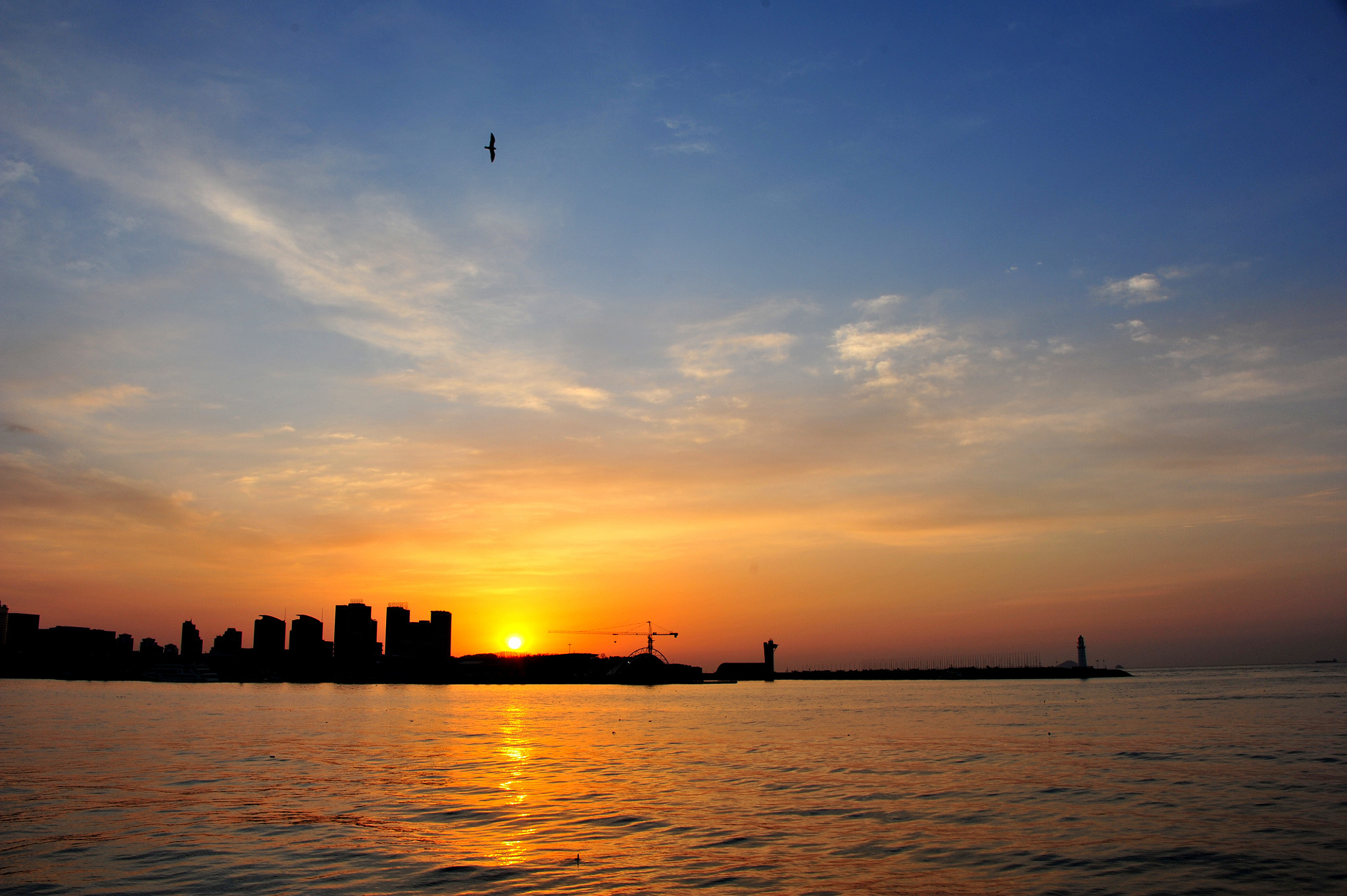 Nikon D700 sample photo